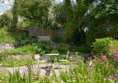 The garden at The Thatch Cottage, South Petherwin