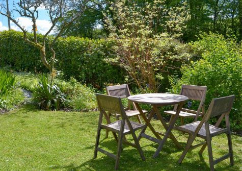 The garden at The Thatch Cottage, South Petherwin