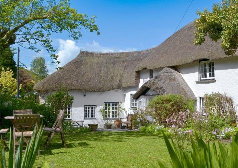 The garden at The Thatch Cottage, South Petherwin