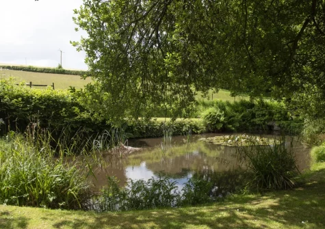Behind the tennis court sits this lovely pond