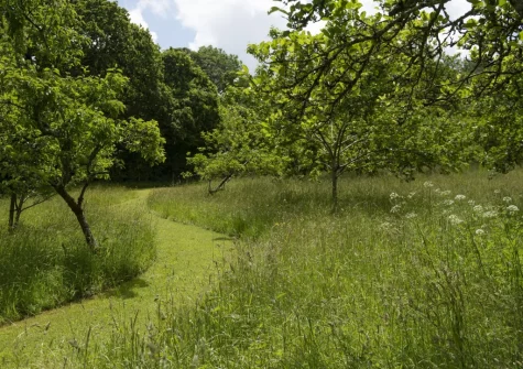 With 65 acres of land, there is an abundance of walks for you to enjoy within the grounds