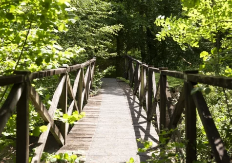 Cross the magical bridge and continue exploring