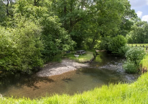 The picnic table by the river, with a firepit, is just one of many spots for you to enjoy