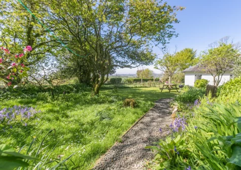 The garden at The White Cottage, Lerryn