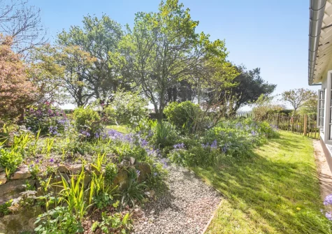 The beautifully planted & mature garden at The White Cottage, Lerryn