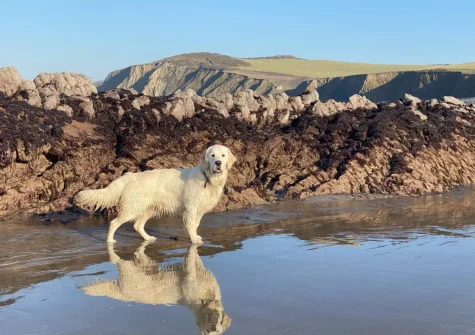 Enjoy magnificent sea views, clifftop walks, cycling or trips to the beach when you stay at Three Corners Barn, Greencliff Farm, Abbotsham