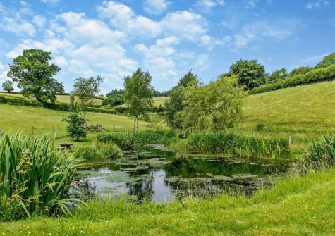 The pond, in a separate field, at Threshers Barn, East Anstey