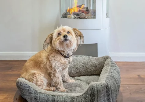 With lots of dog friendly beaches & walks to choose from, your four legged friend will love staying at Tide Side, Bideford