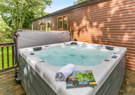 The patio & hot tub at Tor Lodge, Meldon Lodge Park, Meldon