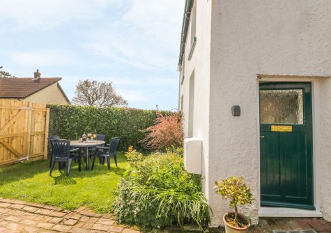 The garden at Travershes Cottage, Withycombe Raleigh