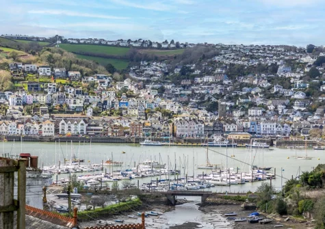 The view from Tree Tops, Kingswear