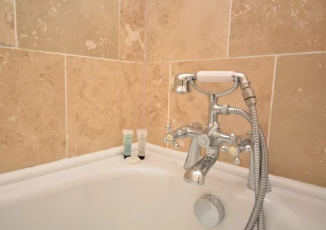 The bathroom at Tregoose, Week St Mary