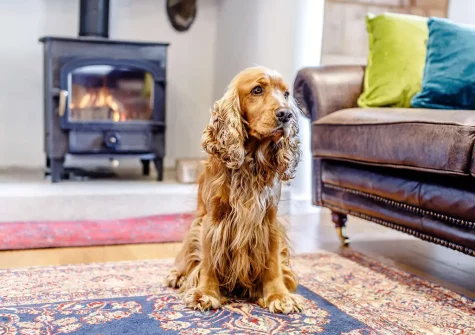 The living room at Trenethick Barns, Mount Hawke