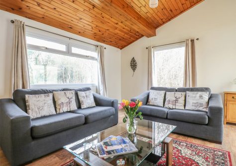 The living area at Trevellard Belle, Notter
