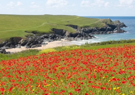Trevethen Cottage is an ideal base for exploring the scenic South Weat Coast Path