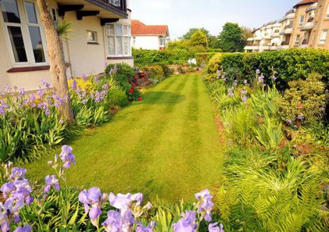 The garden @ Upper Alvista