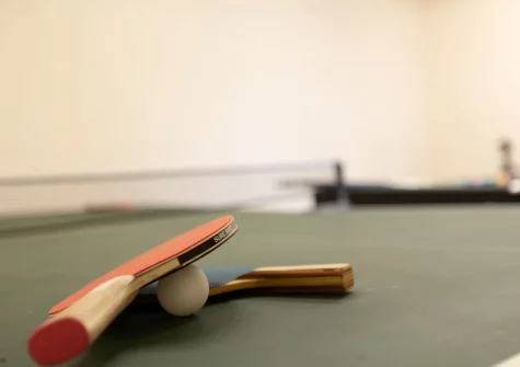 The games barn at Vale House, Lydford