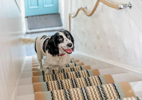 The stairs down to the ground floor at Valley View, Woodford