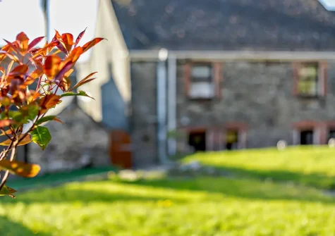 The enclosed garden at Victoria House, St Issey