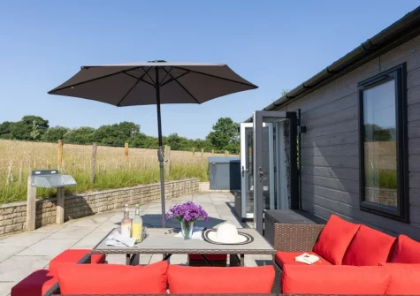The patio & alfresco dining area at Violet Lodge, 11 Roadford Lake Lodges, Broadwoodwidger