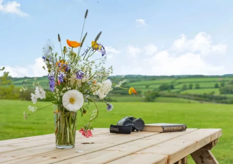 The barbecue, alfresco dining area & garden at Wagon Linney, Lewdown