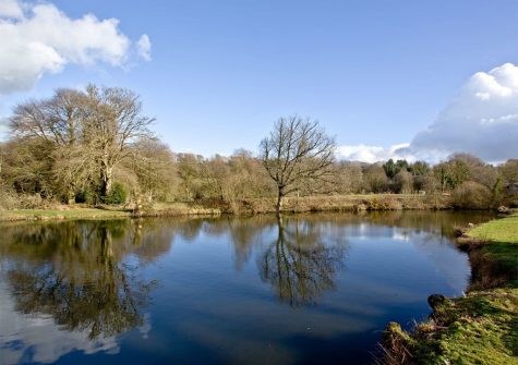 The lake & countryside views at Lakeview Manor, Dunkeswell