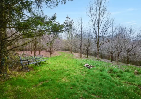 Guests are also welcome to explore the 7 acres of private woodland when staying at West Yard Cottage, Ashreigney