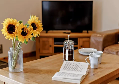 The living room at White Park, Launceston