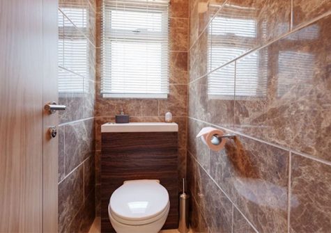 The seperate toilet at Whitehorses, Dawlish