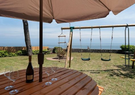 The garden at Whitehorses, Dawlish