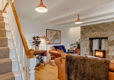 The living room at Wild Rose Cottage, Illogan