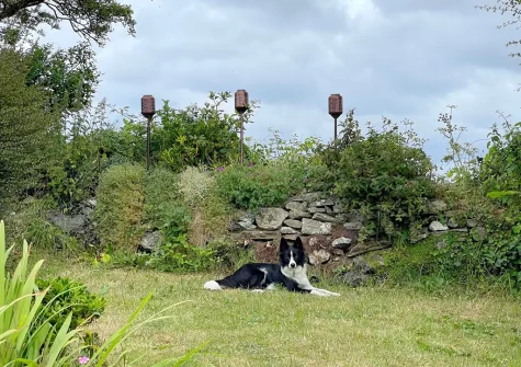 Wild Rose Cottage is very dog friendly with plenty of countryside & beaches nearby