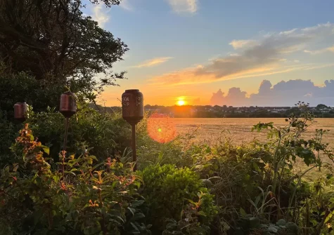 Wild Rose Cottage has views over fields behind - perfect for sunset cocktails