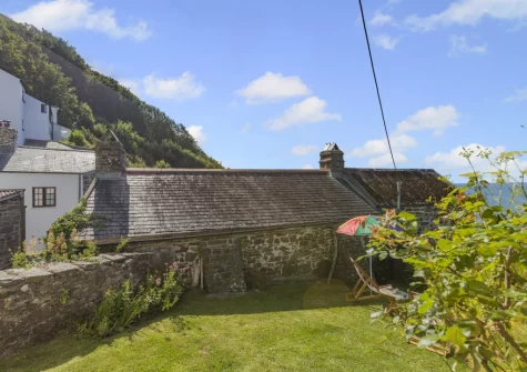 The garden at Williams Cottage, Buck's Mills