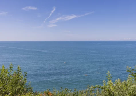 The view from the patio, barbecue, alfresco dining area & garden at Williams Cottage, Buck's Mills