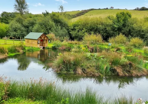 The large garden & grounds at Willow Barn, Polmassick