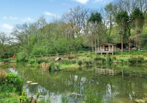 The grounds with outdoor sitting area at Willow Barn, Polmassick