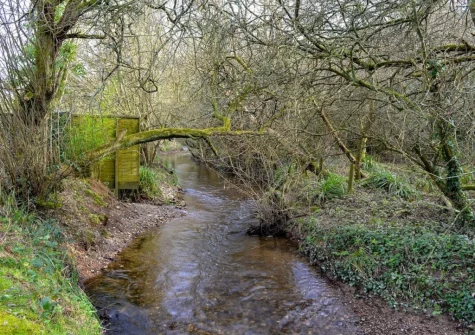 The 2¬Ω-acre natural woodland grounds (shared with owner) at Willow Barn, Polmassick