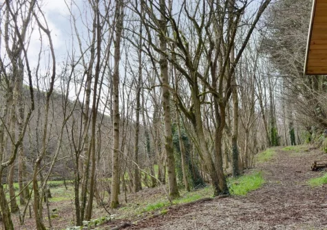 The 2¬Ω-acre natural woodland grounds (shared with owner) at Willow Barn, Polmassick