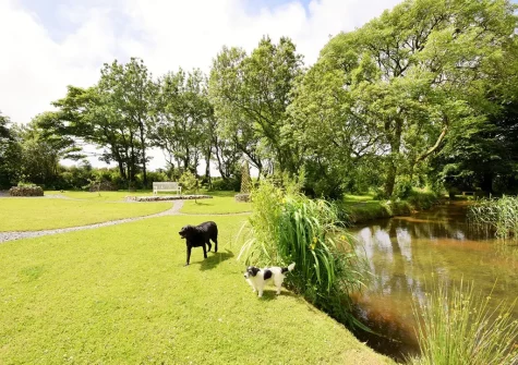 The shared garden at Wind In The Willows, Morwenstow