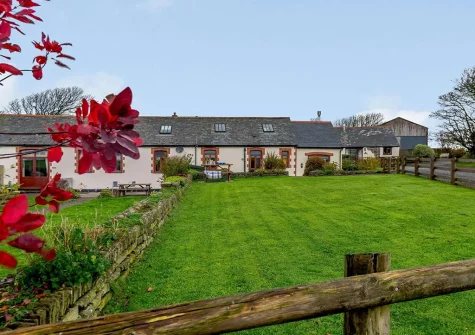 The garden at Windbury Barn, Hartland