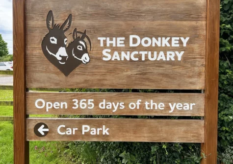 The neighbouring Donkey Sanctuary, home to hundreds of donkeys, is open year-round