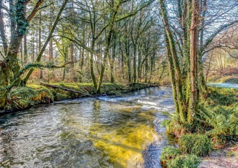Enjoy seven acres of private woodland & stunning riverside walks to explore