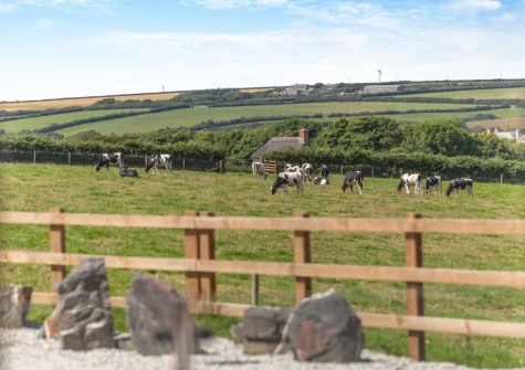 The view from bedroom #2 at Woodside Barn, Hartland