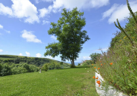 The garden at Woolacombe Country House, Woolacombe