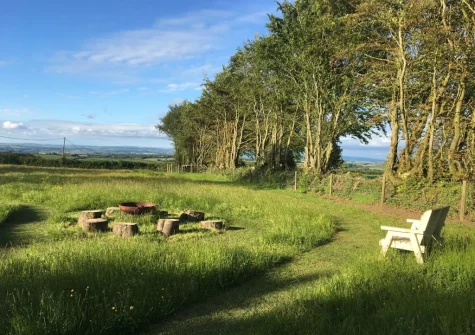 Enjoy walking or exercising your four-legged friends in the pretty flower meadow when you stay at Wrens Thatch, Ebberley